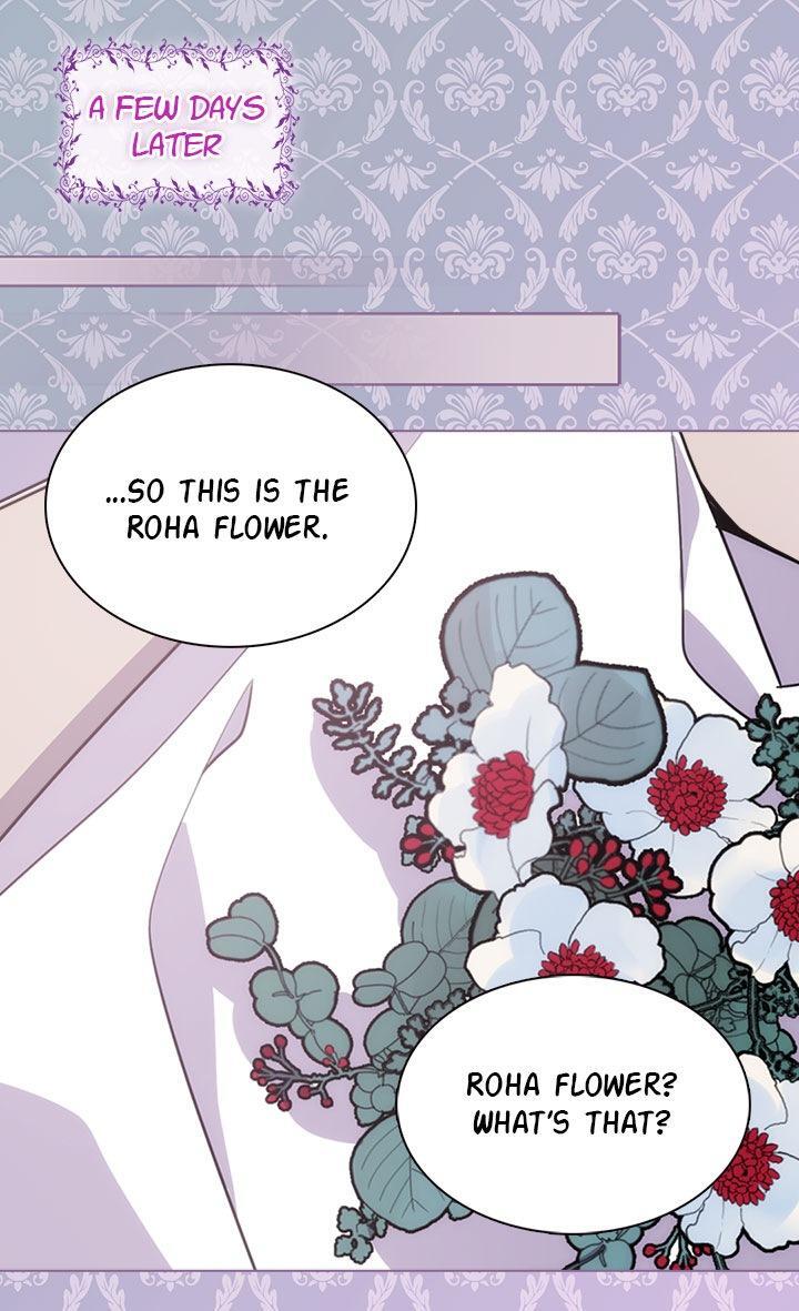 Read Adelaide Manga Online