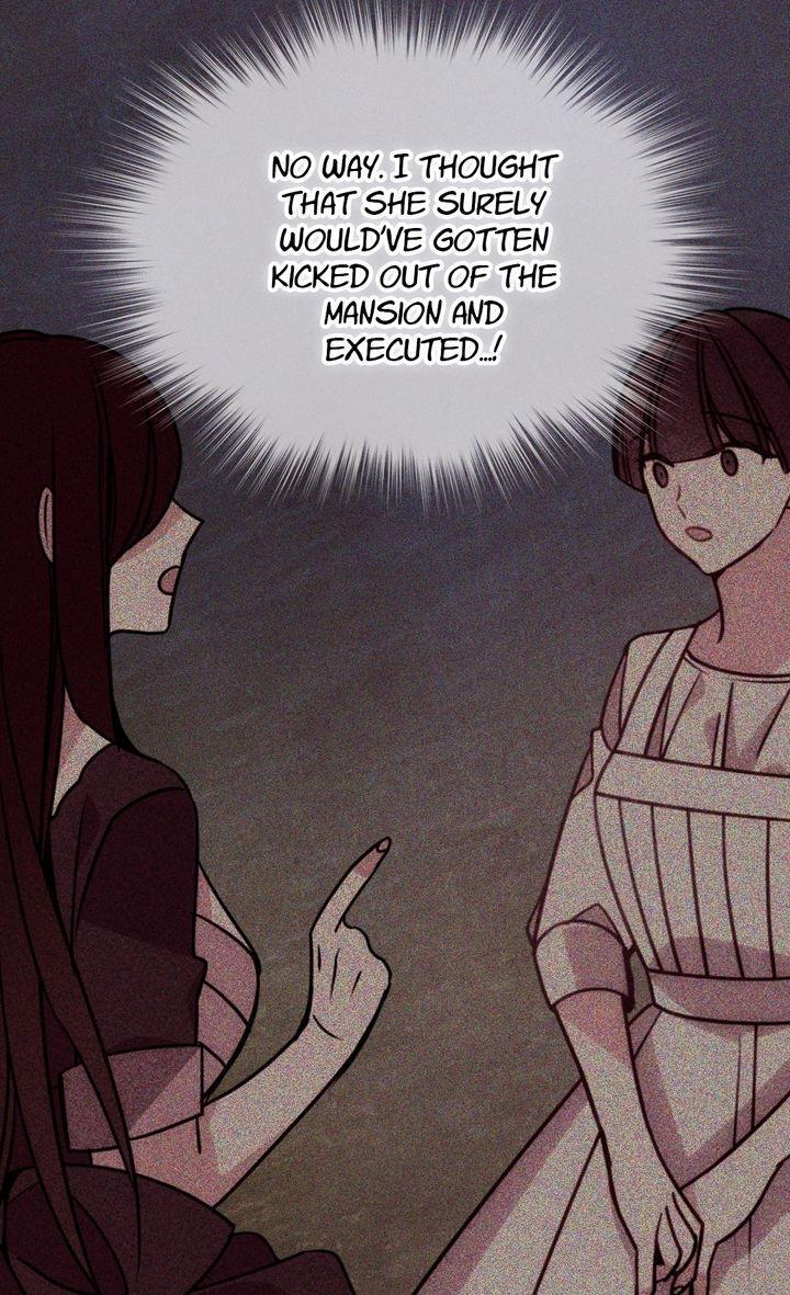 Read Adelaide Manga Online