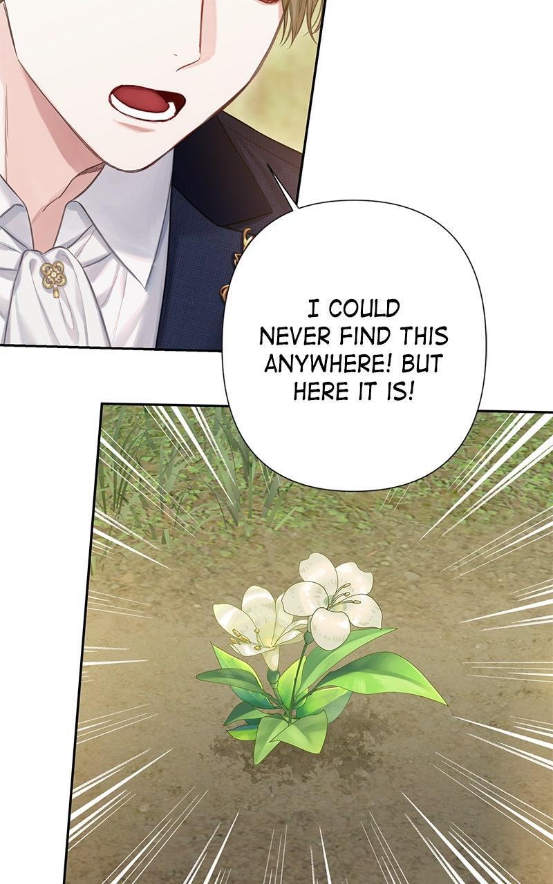 Read Bastian Manga Online