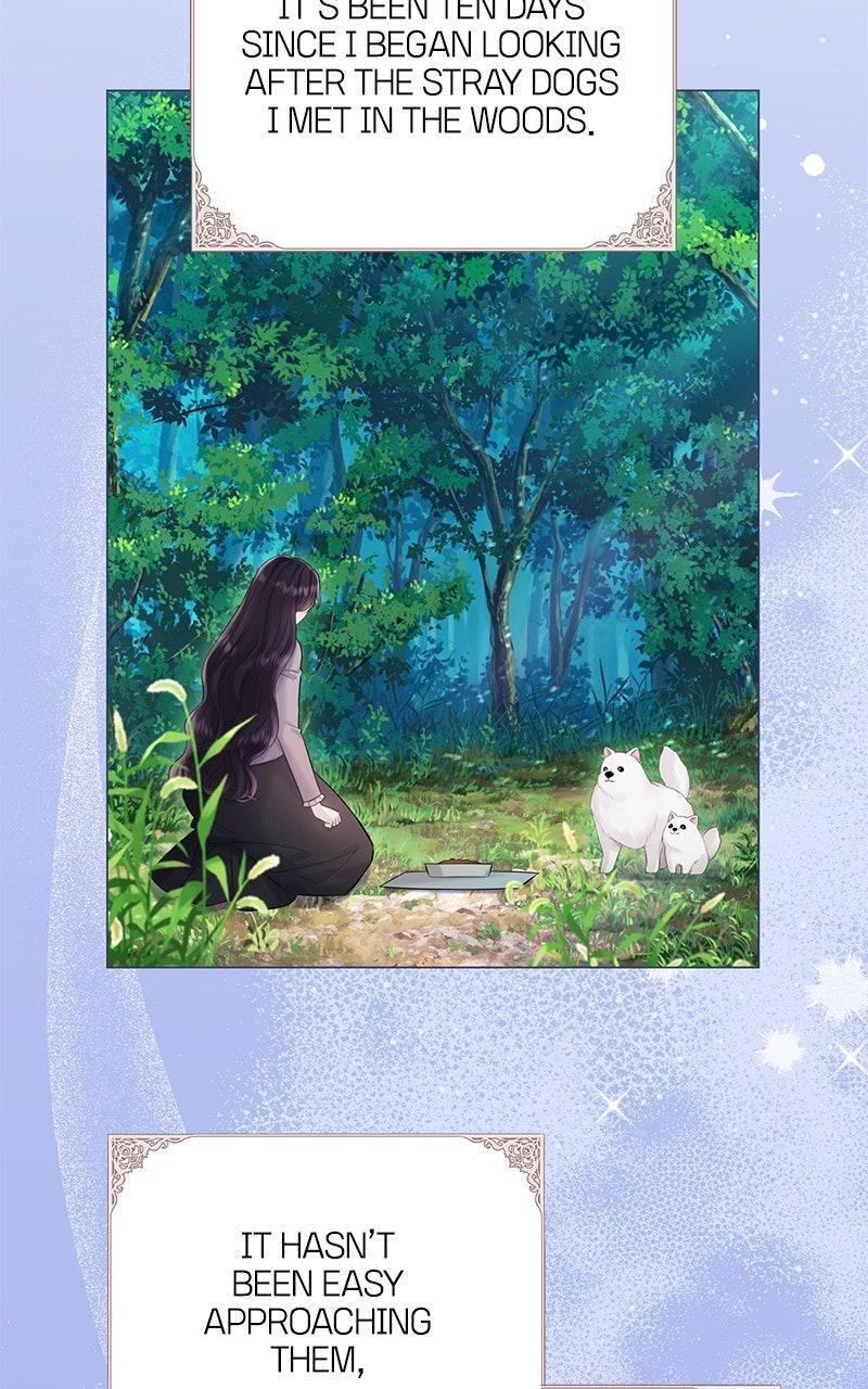Read Bastian Manga Online