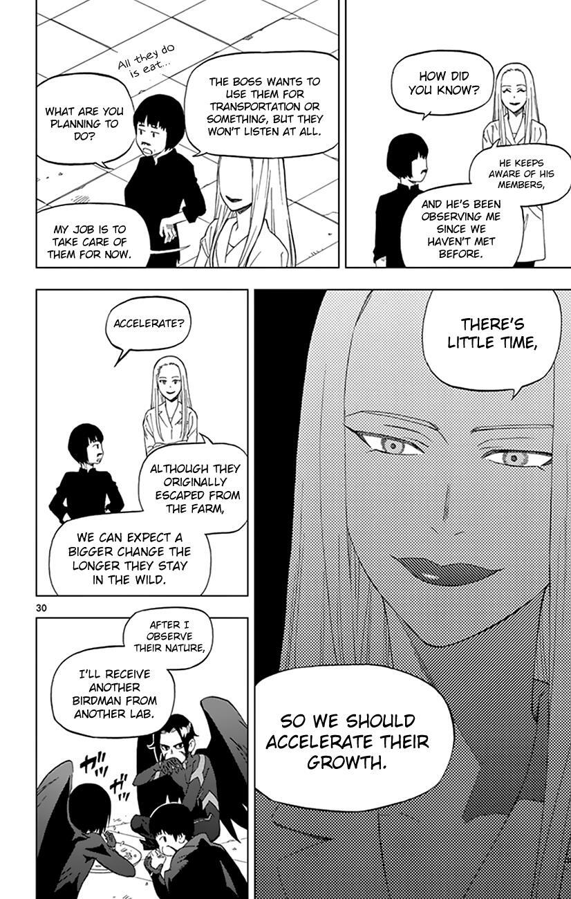 Read Birdmen Manga Online