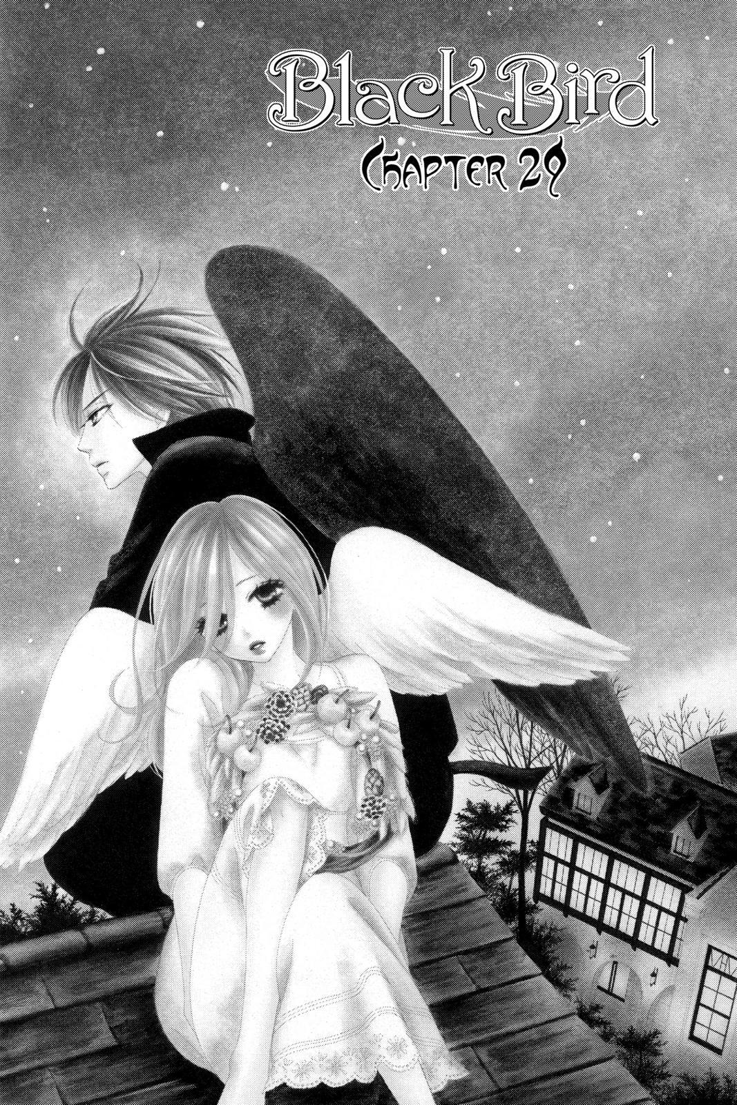 Read Black Bird Manga Online