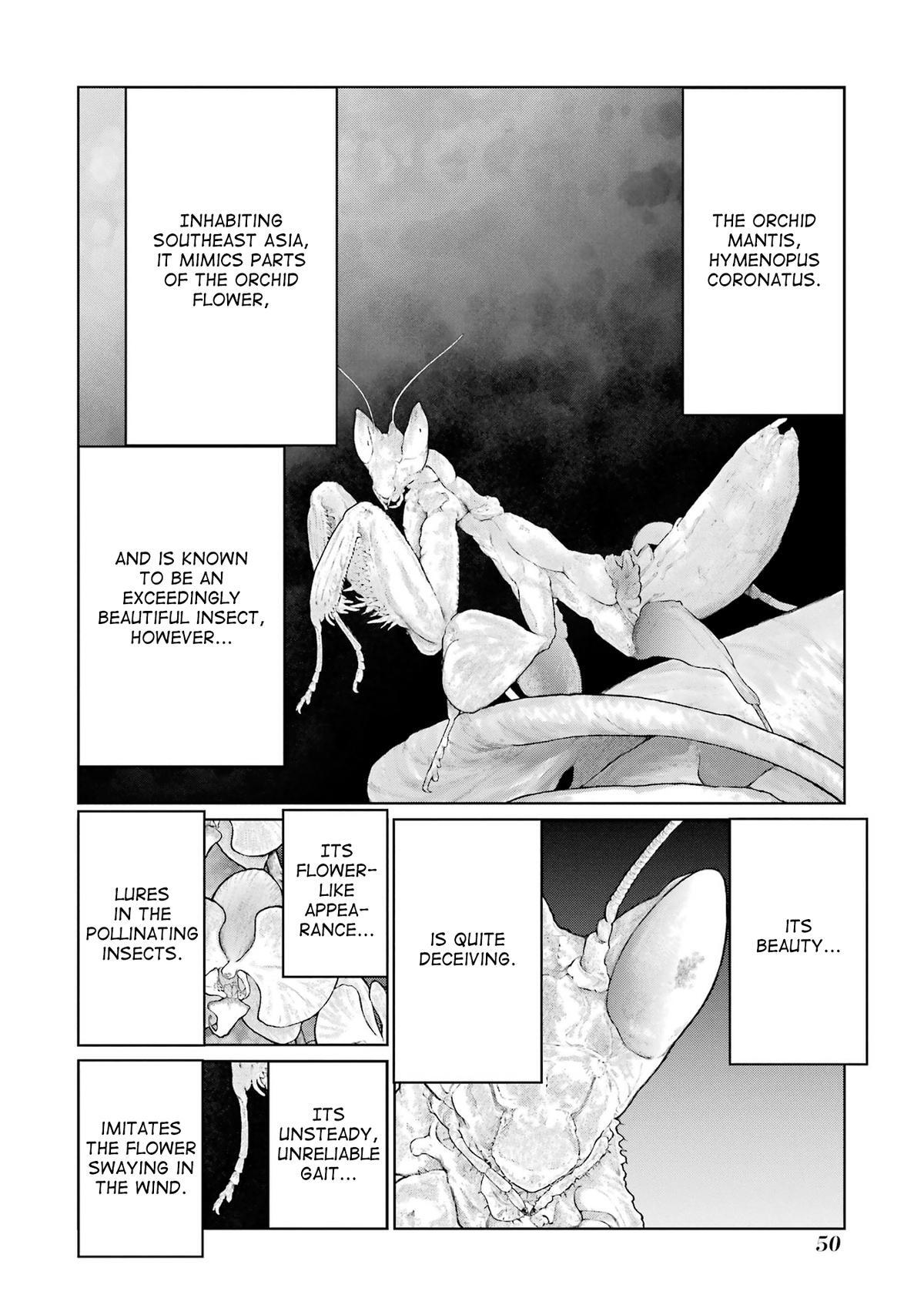 Read Blattodea Manga Online