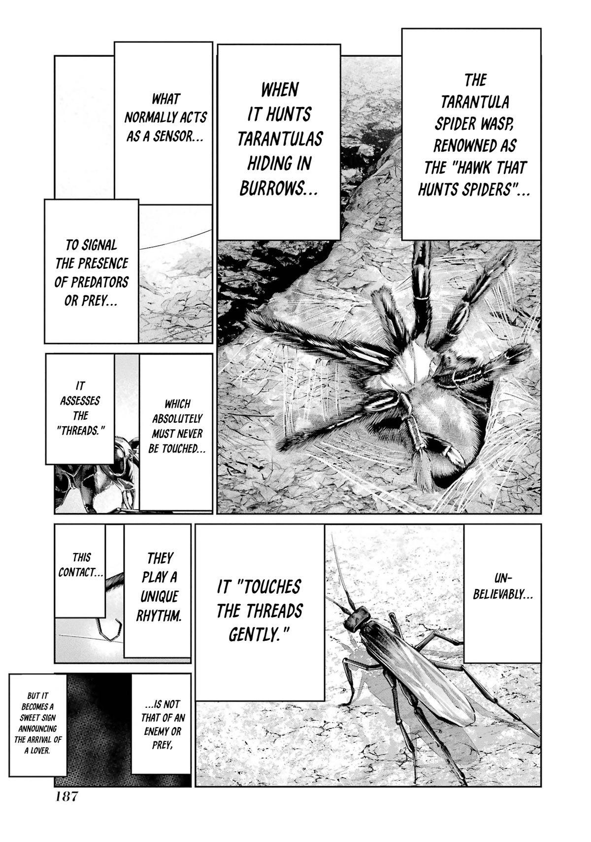 Read Blattodea Manga Online