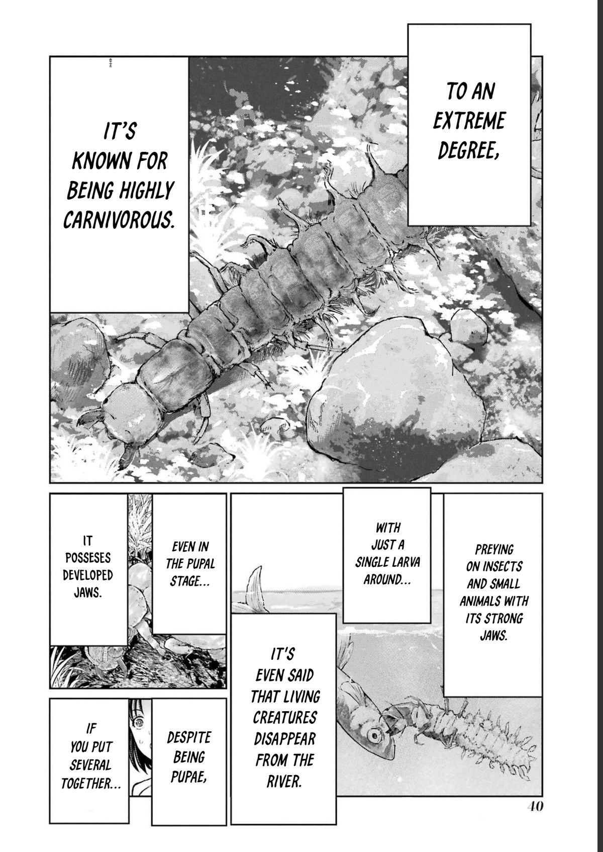 Read Blattodea Manga Online