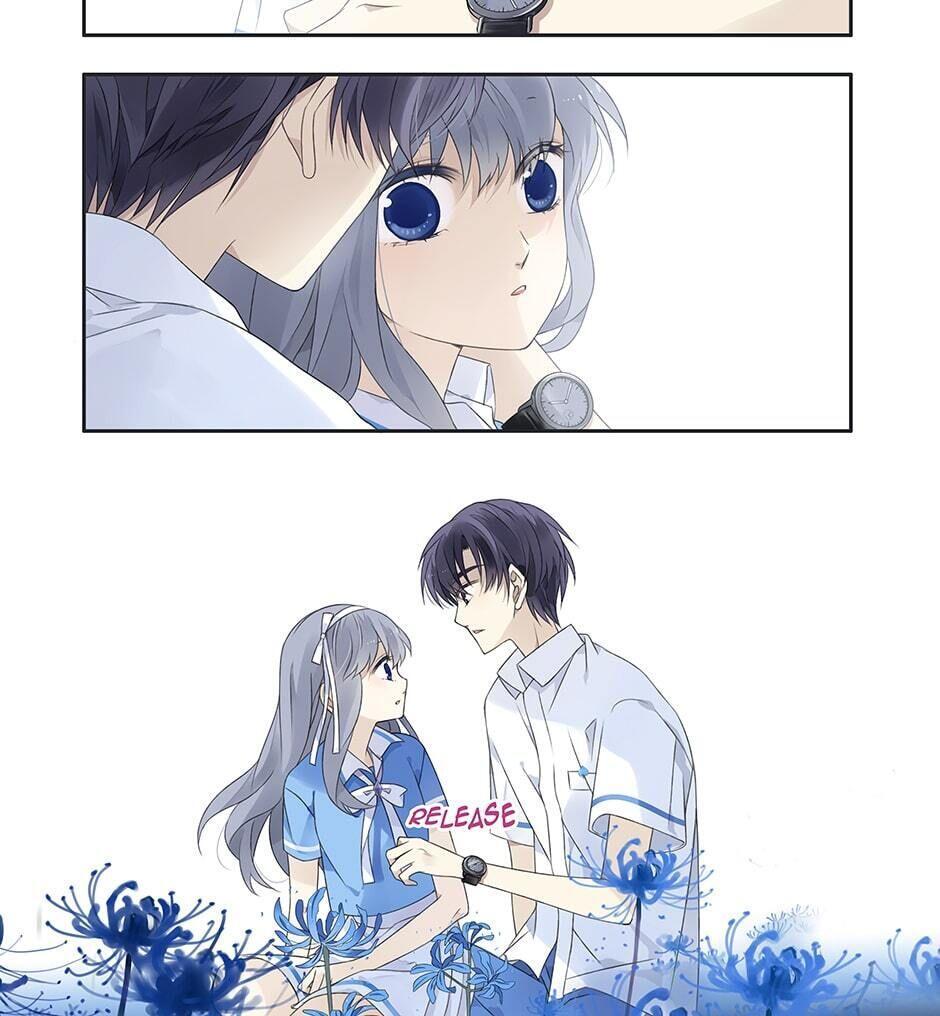 Read Blue Wings Manga Online