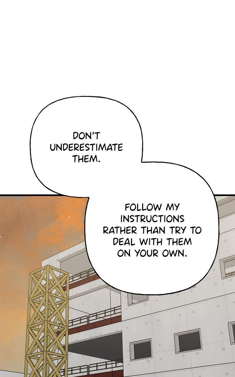 Read Boss Return Manga Online