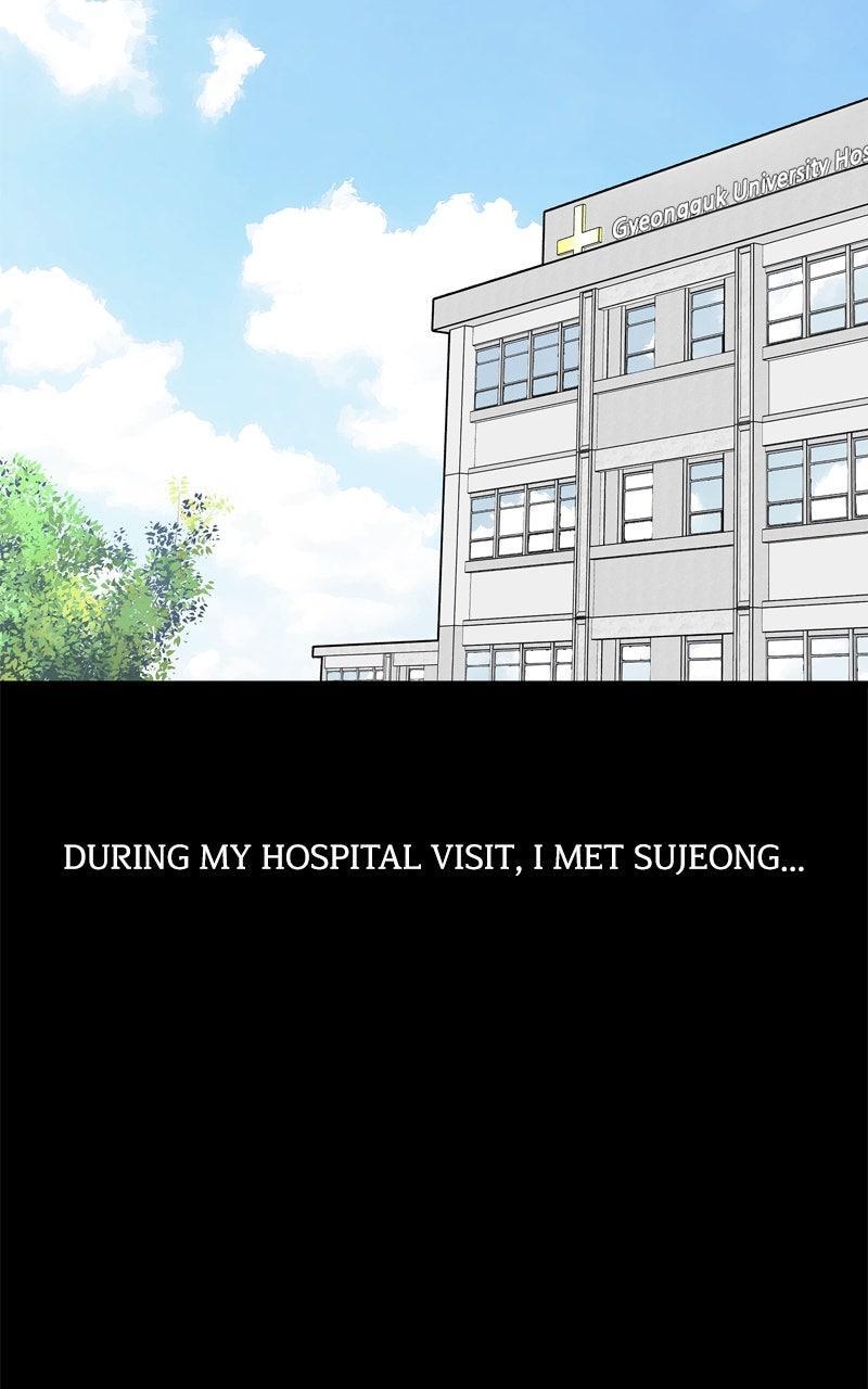 Read Boss Return Manga Online