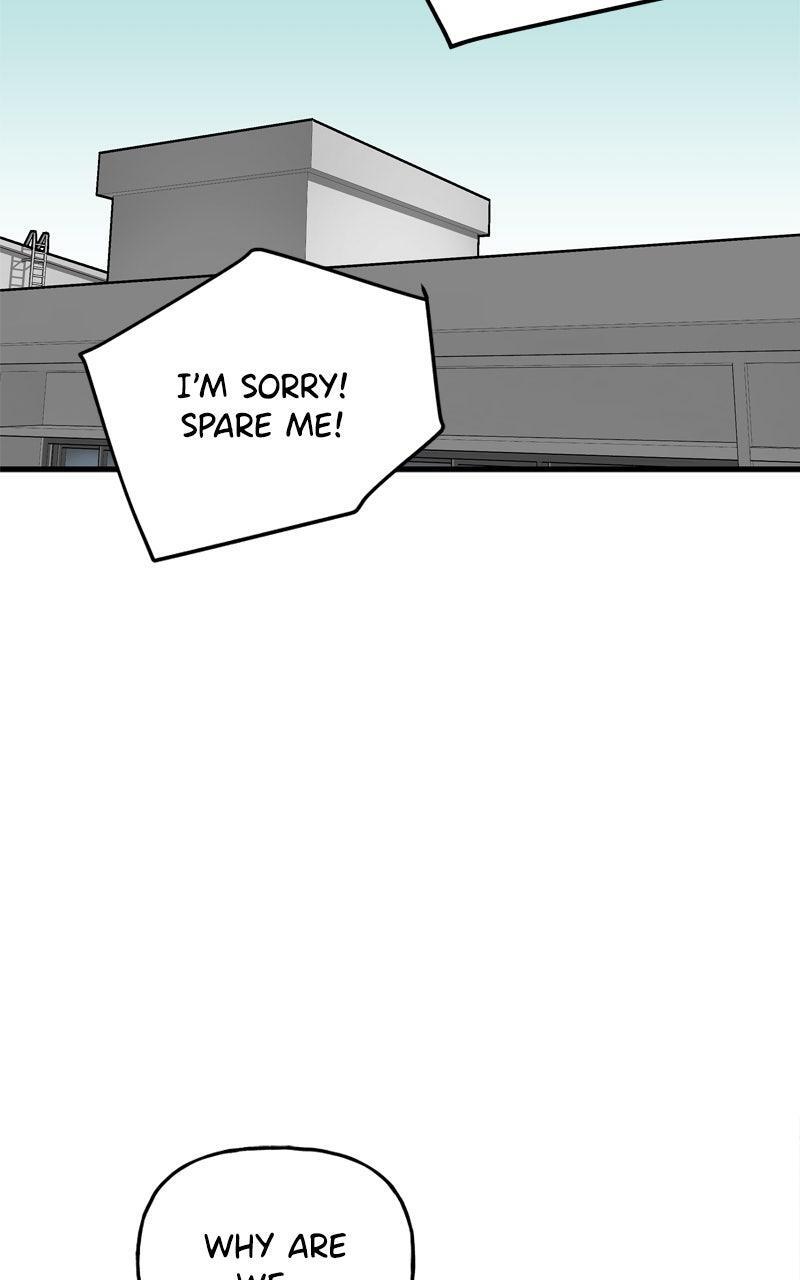 Read Boss Return Manga Online