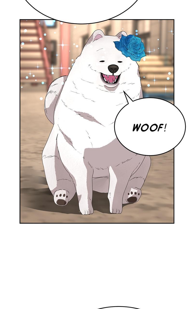 Read Denounce Manga Online
