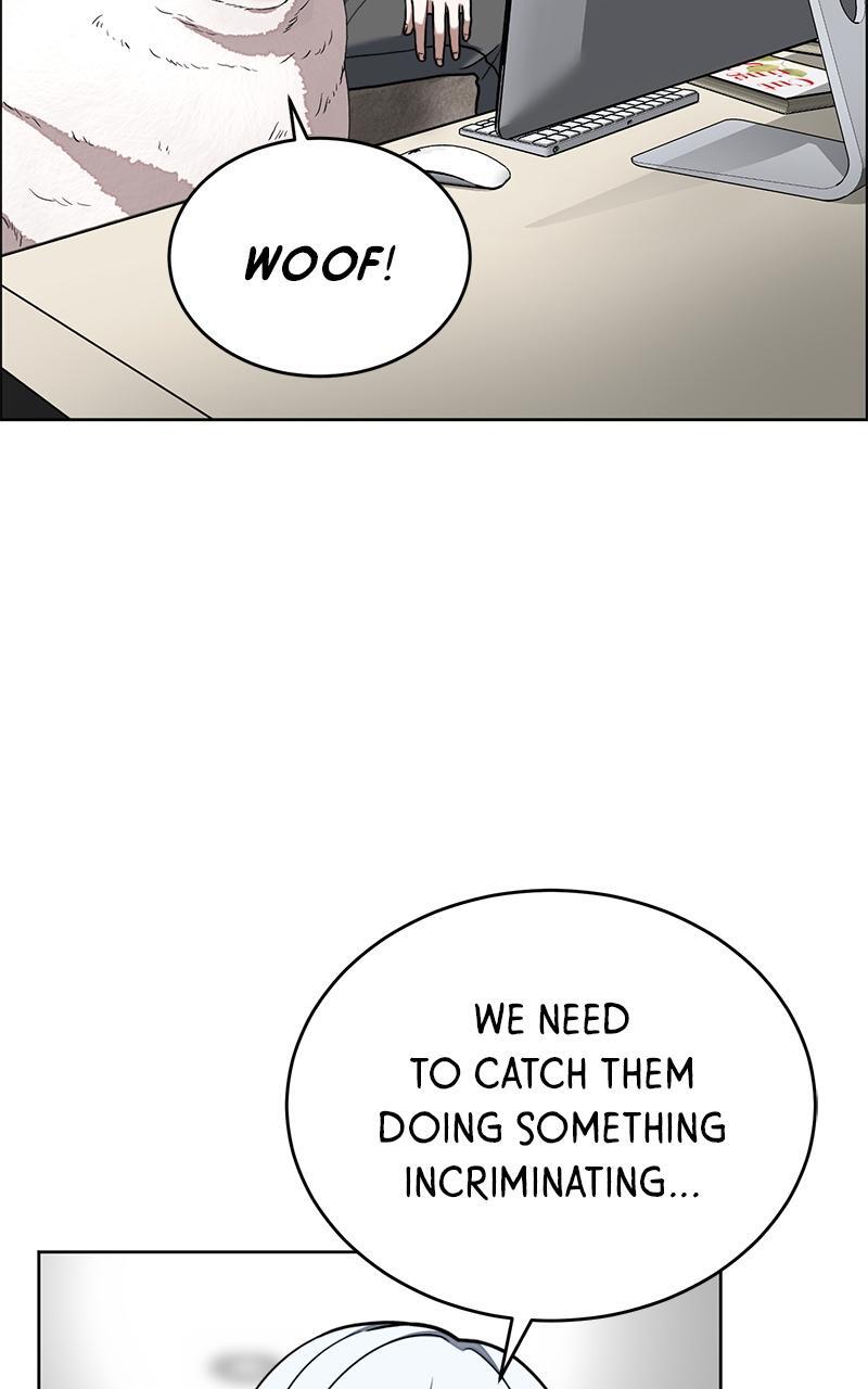 Read Denounce Manga Online