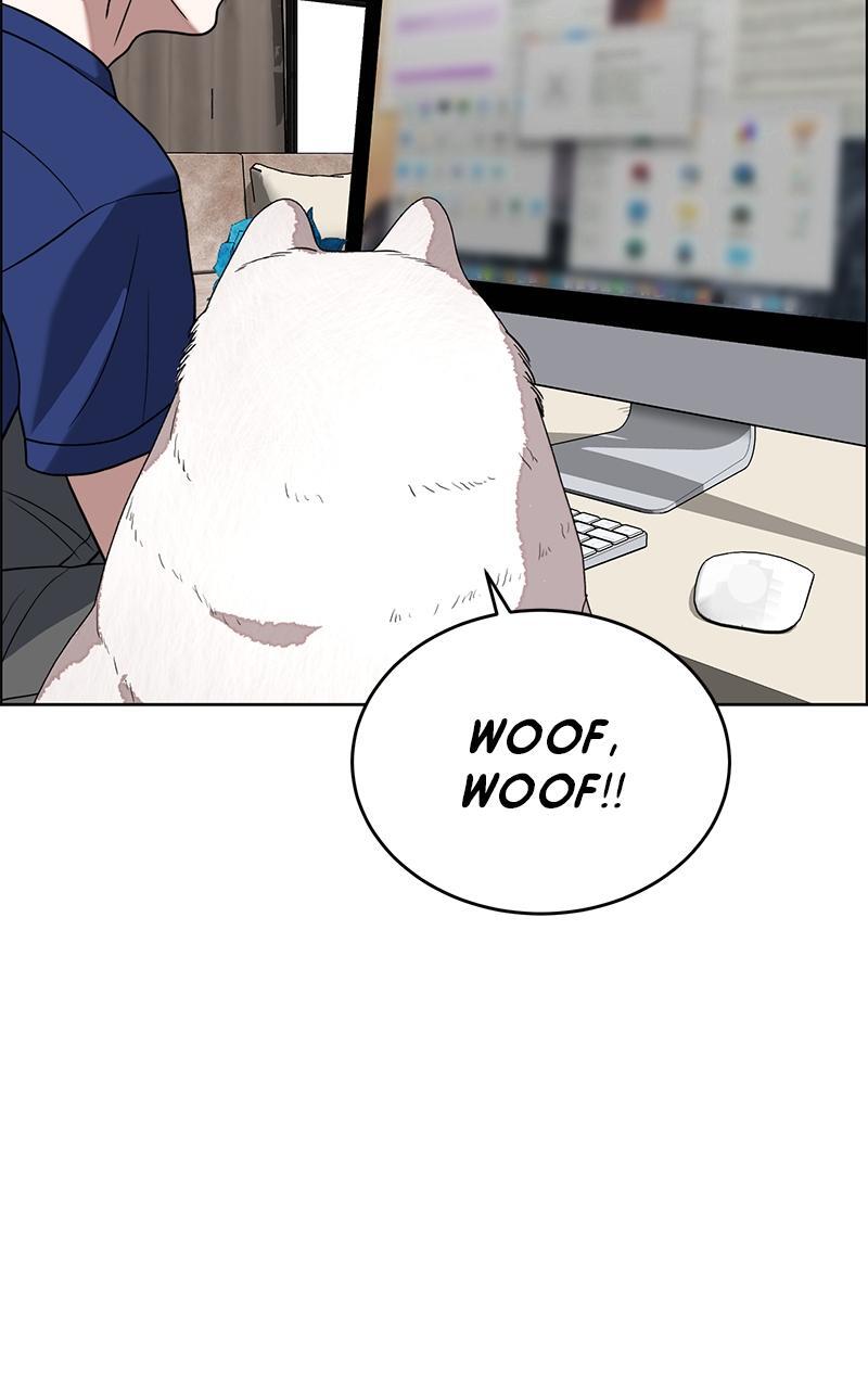 Read Denounce Manga Online
