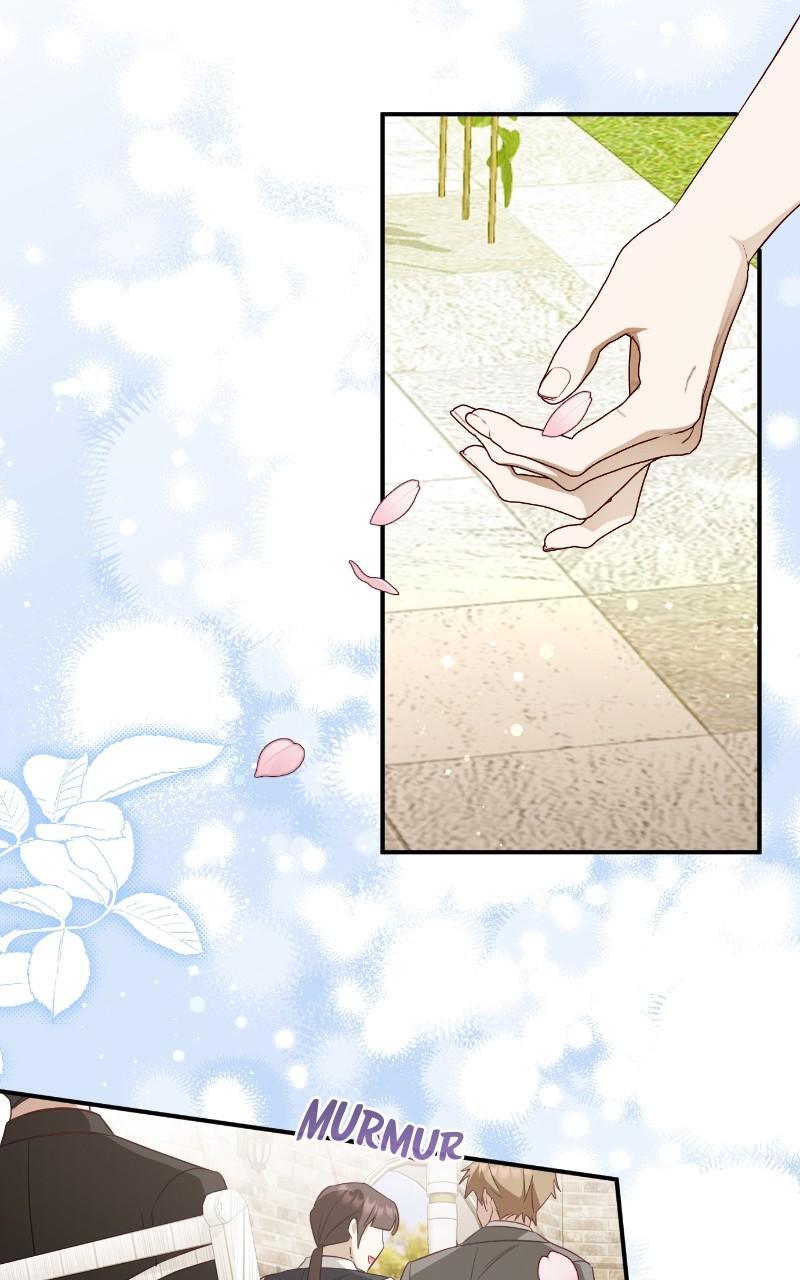 Read Fallen to Paradise Manga Online