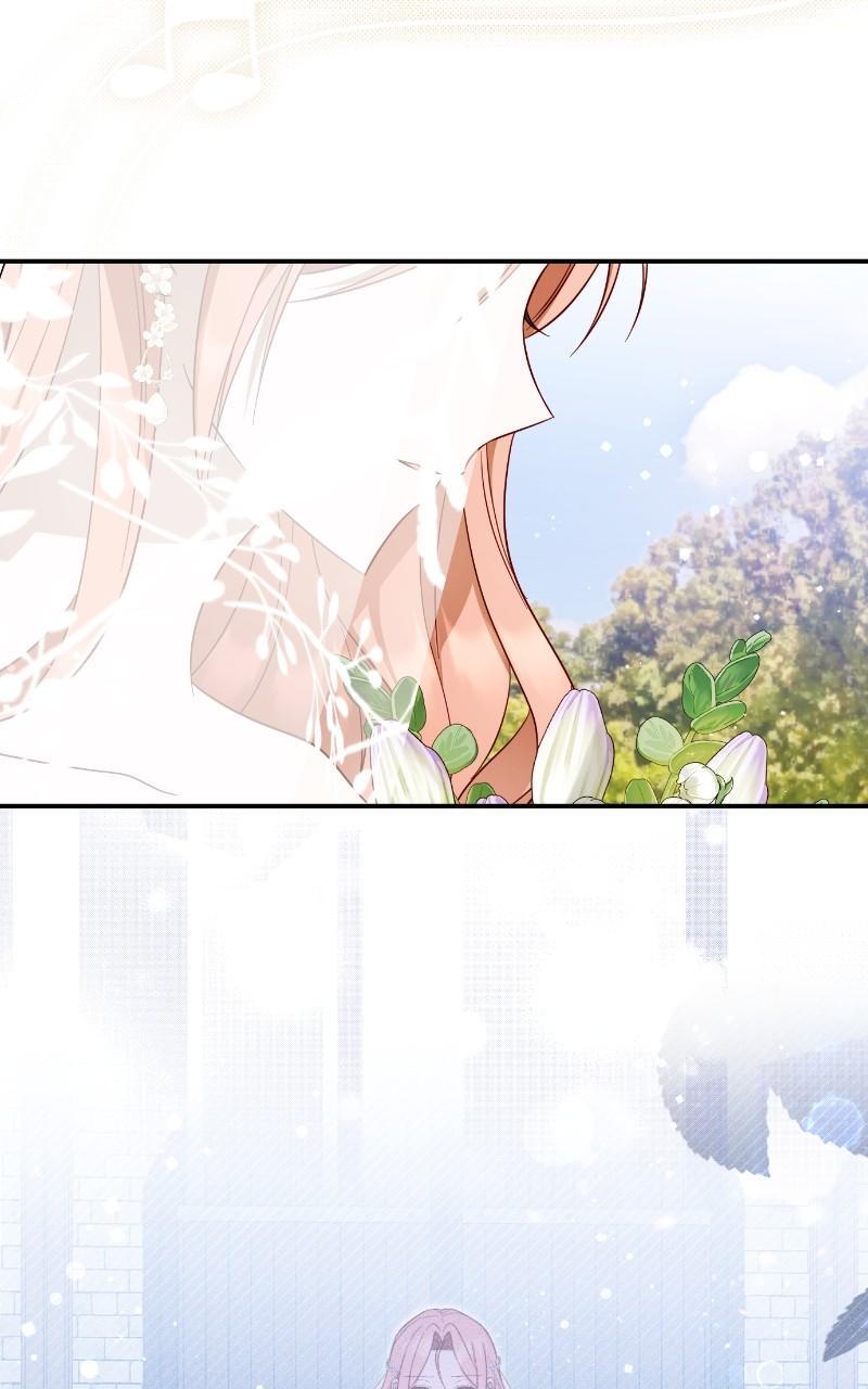 Read Fallen to Paradise Manga Online