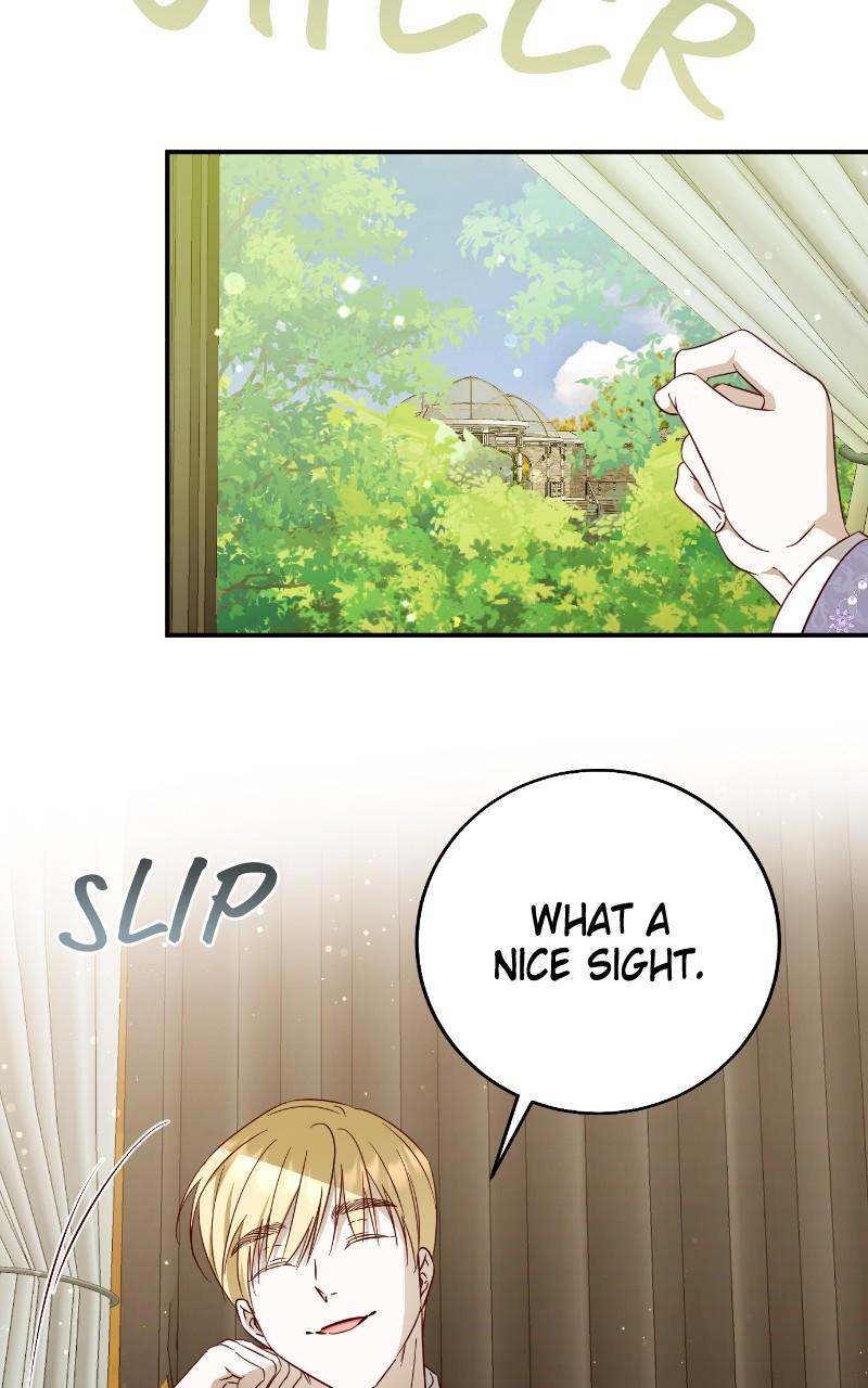 Read Fallen to Paradise Manga Online
