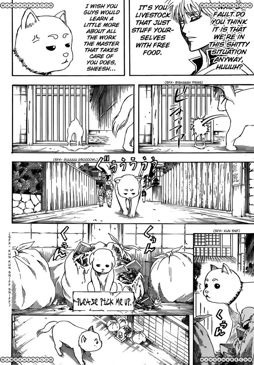 Read Gintama Manga Online