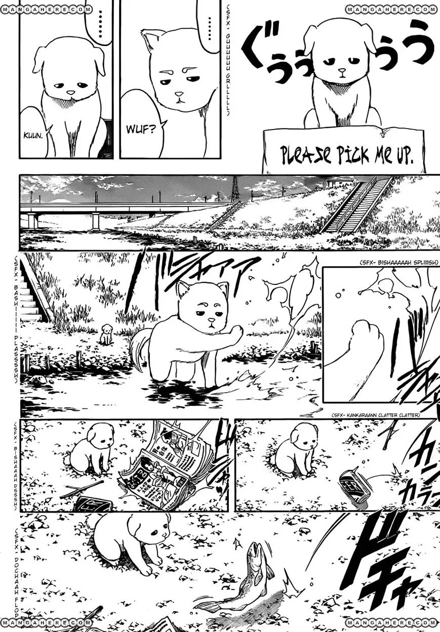 Read Gintama Manga Online