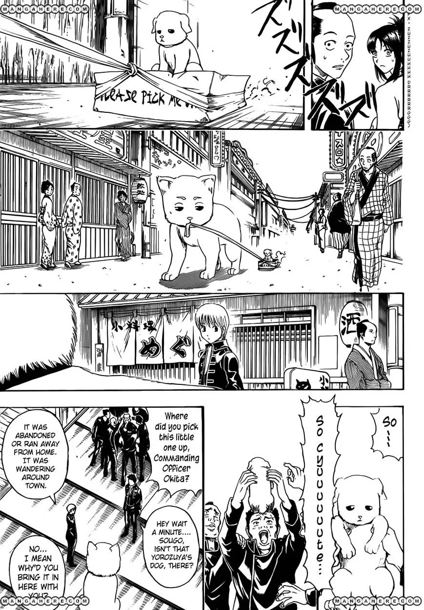 Read Gintama Manga Online