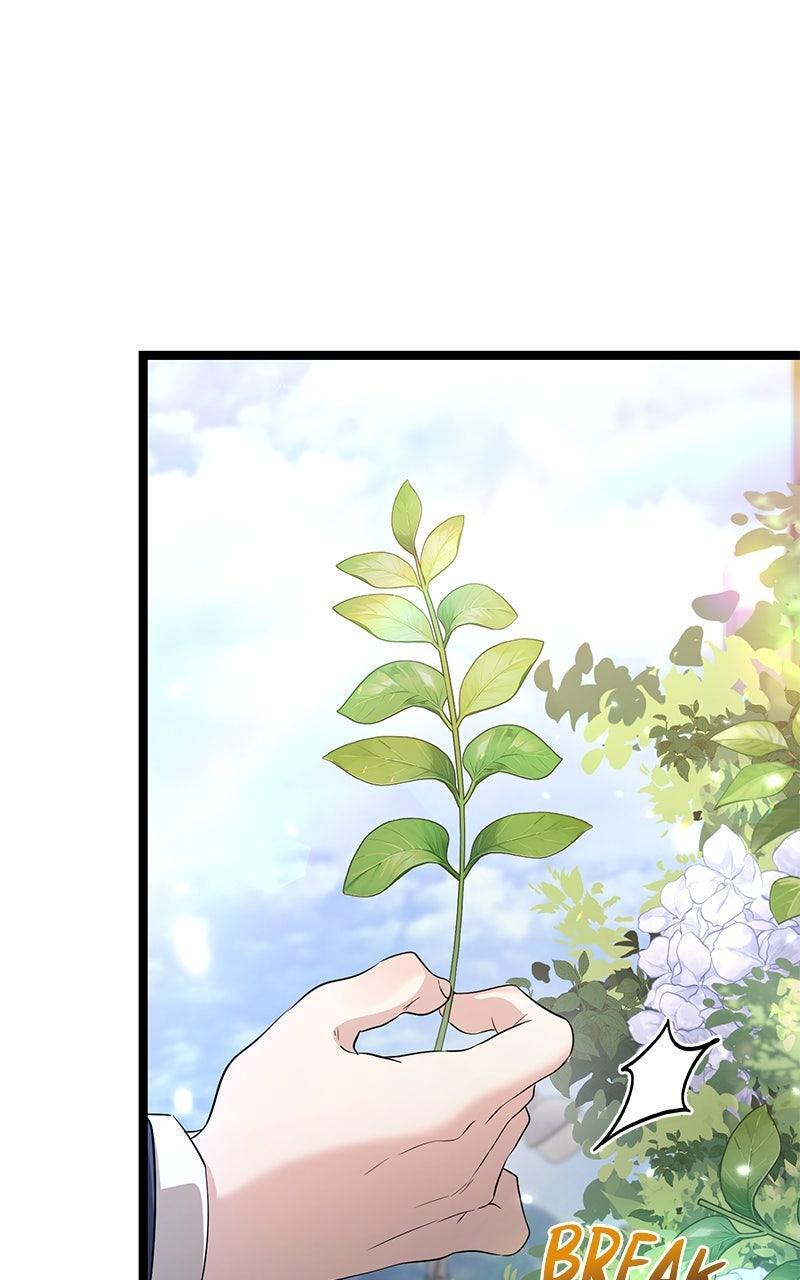Read High School Queen Manga Online