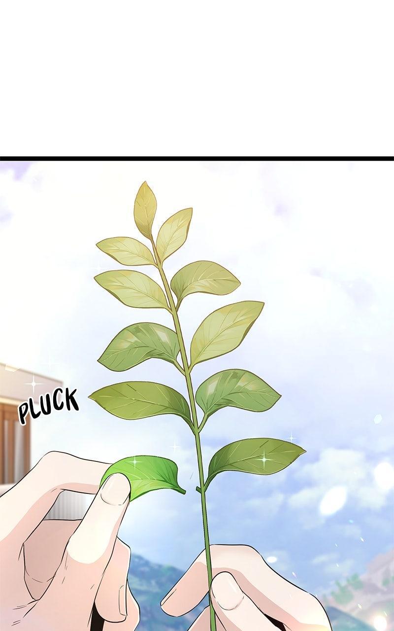 Read High School Queen Manga Online