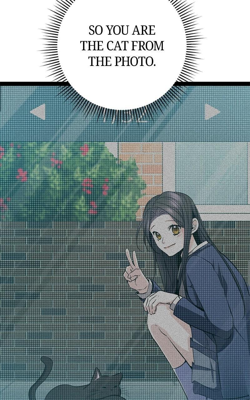 Read High School Queen Manga Online