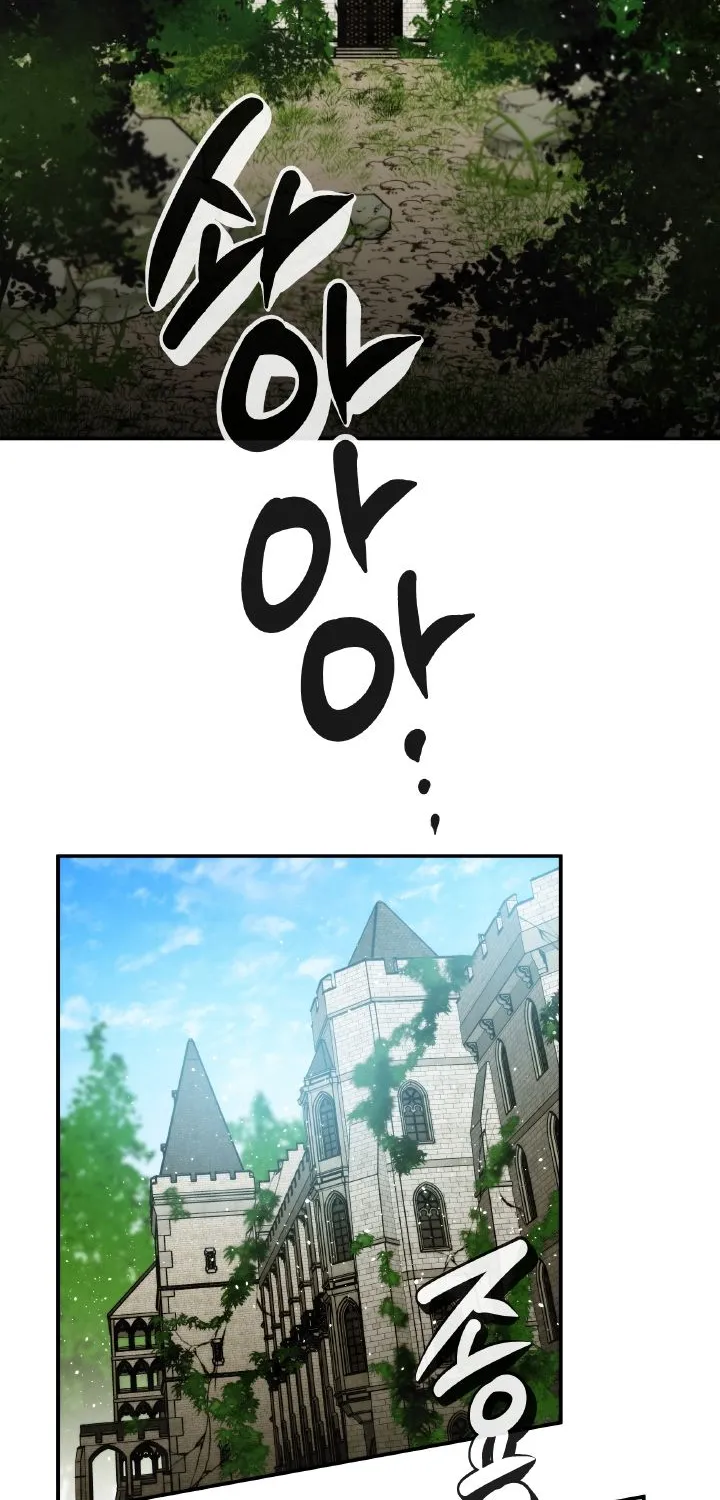 Read Memorize Manga Online