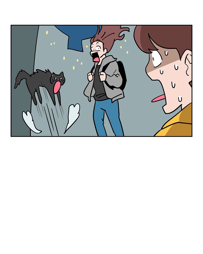 Read Meow Man Manga Online