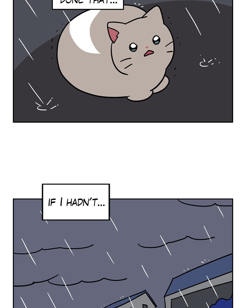 Read Meow Man Manga Online
