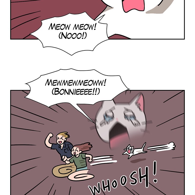 Read Meow Man Manga Online