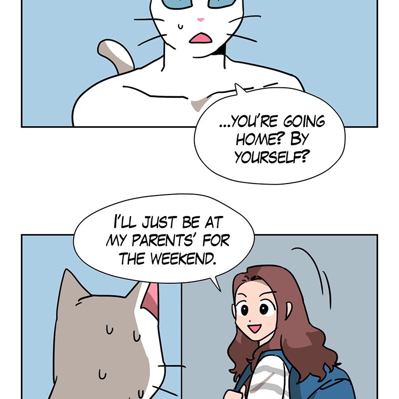 Read Meow Man Manga Online
