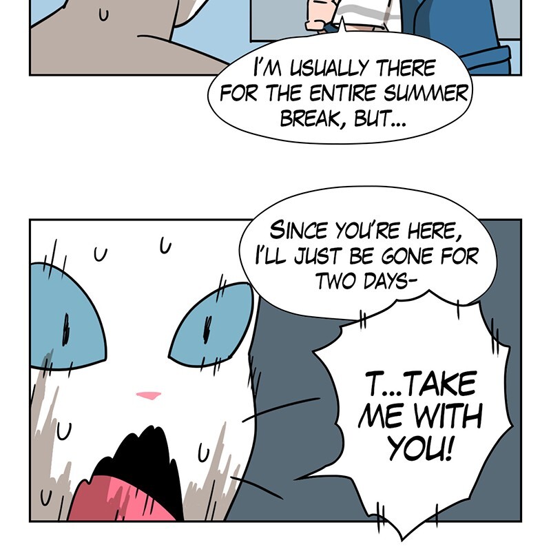 Read Meow Man Manga Online