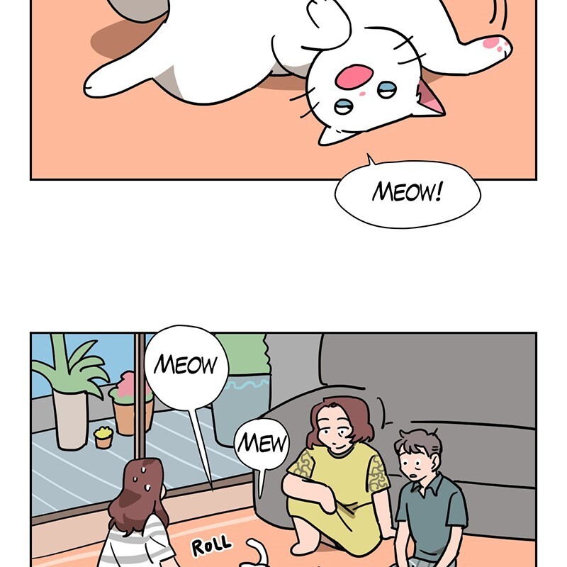 Read Meow Man Manga Online