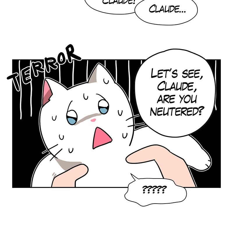 Read Meow Man Manga Online