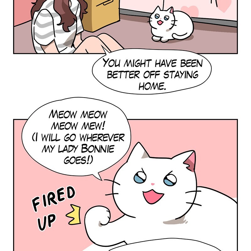 Read Meow Man Manga Online