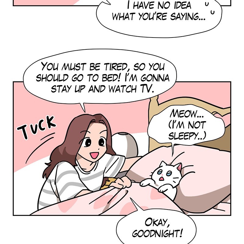 Read Meow Man Manga Online