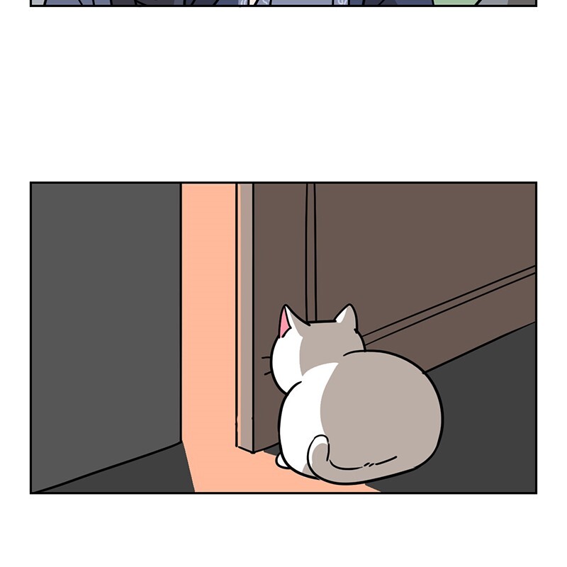 Read Meow Man Manga Online