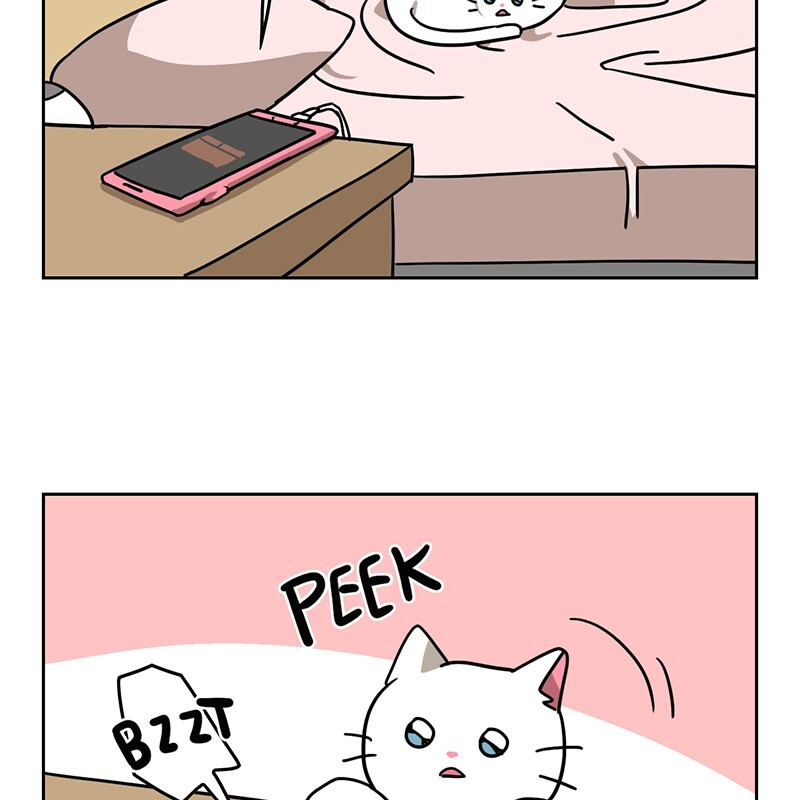 Read Meow Man Manga Online