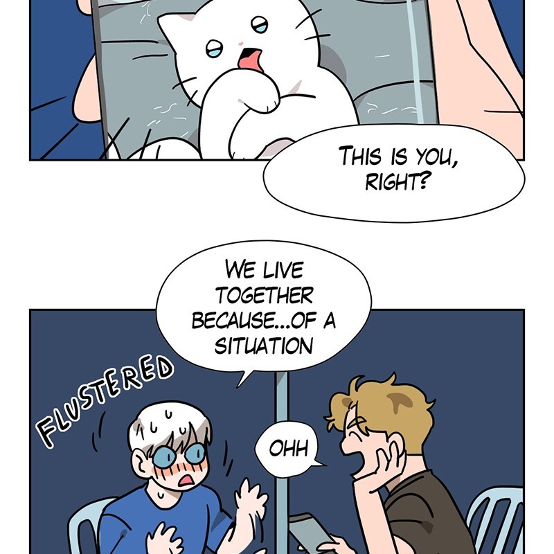 Read Meow Man Manga Online