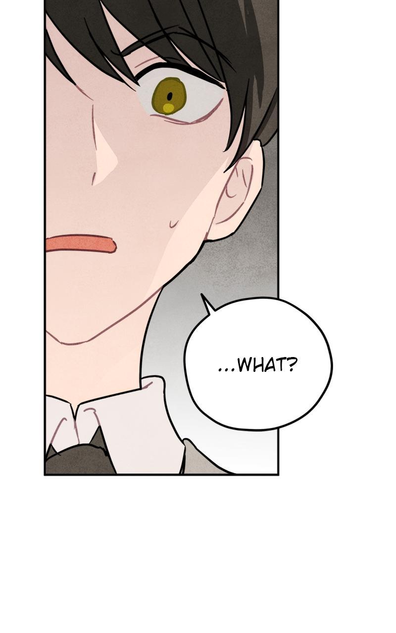 Read Potion Witch Manga Online