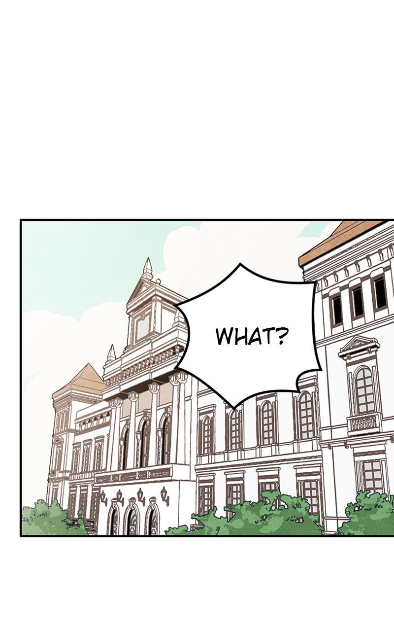 Read Potion Witch Manga Online