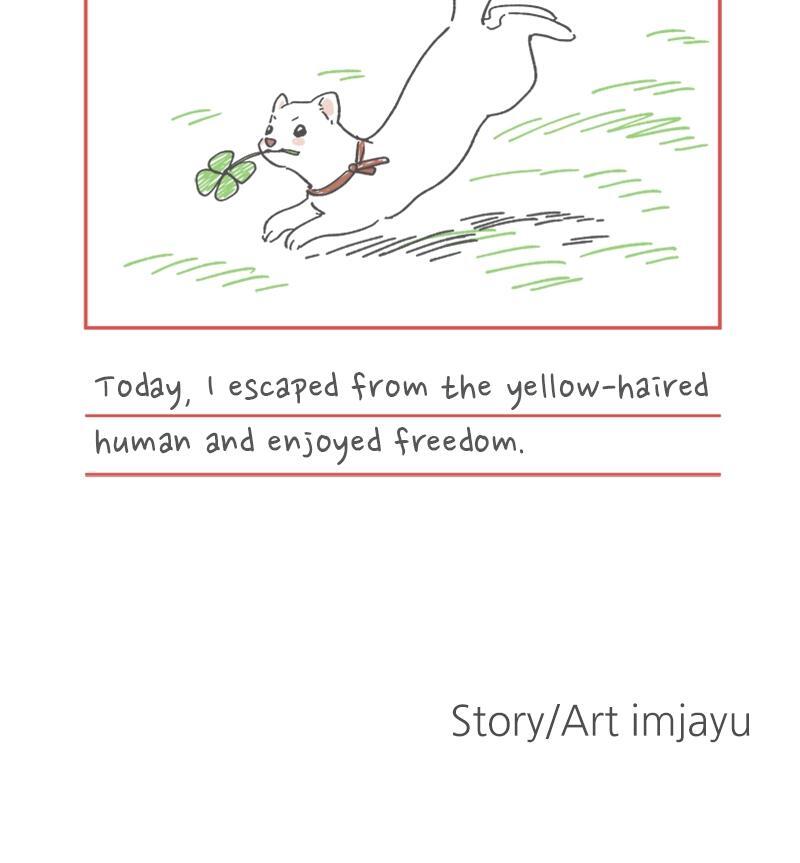 Read Potion Witch Manga Online