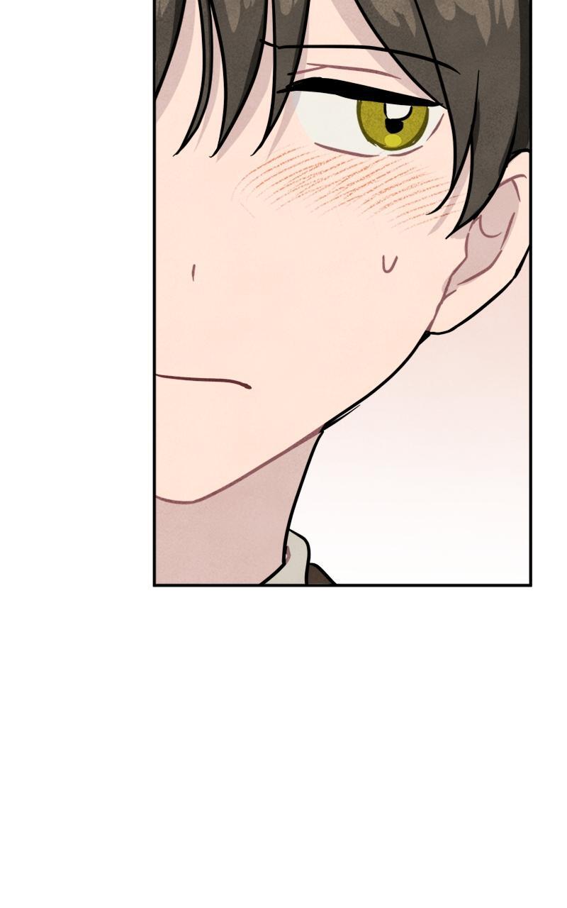 Read Potion Witch Manga Online