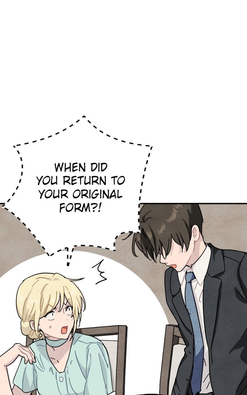 Read Potion Witch Manga Online