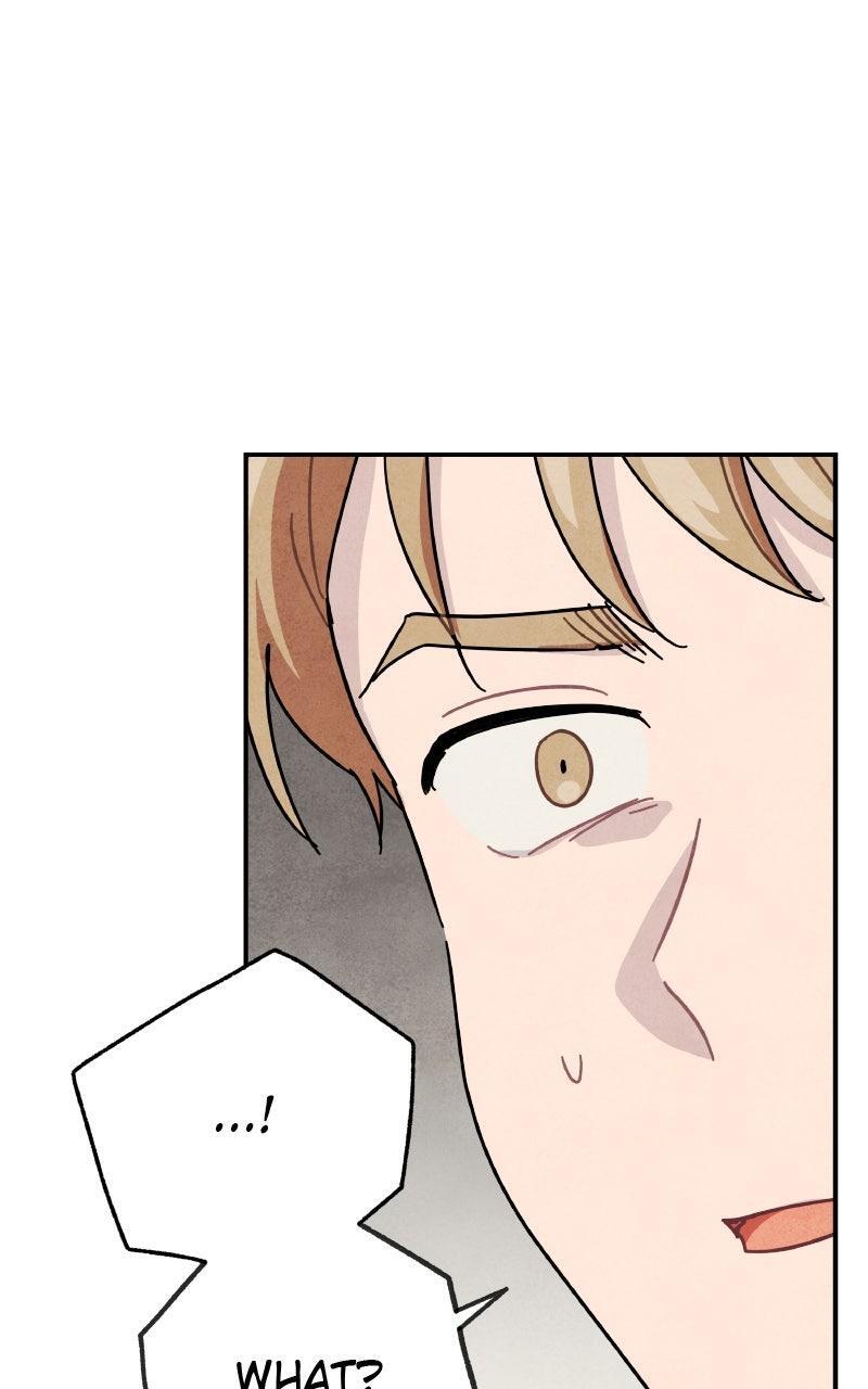 Read Potion Witch Manga Online