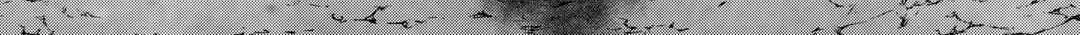 Read Re monster Manga Online