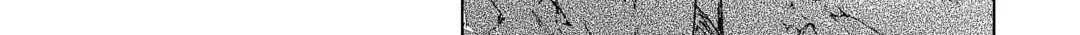 Read Re monster Manga Online