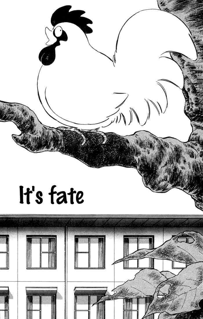 Read Rough Manga Online