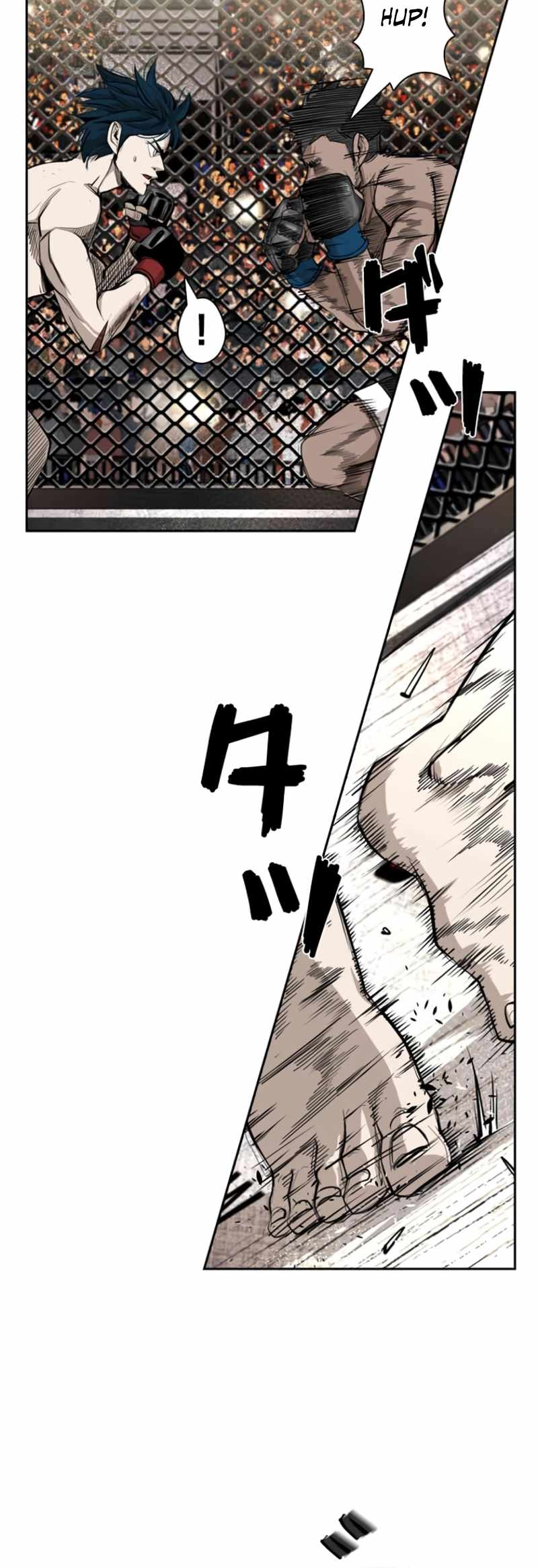 Read Shark Manga Online
