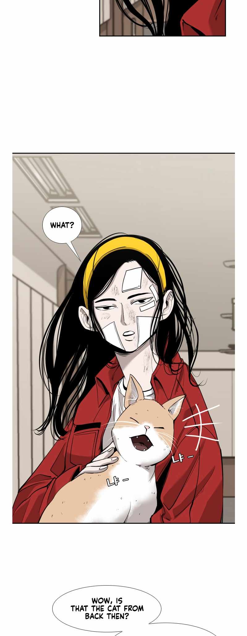 Read Shark Manga Online