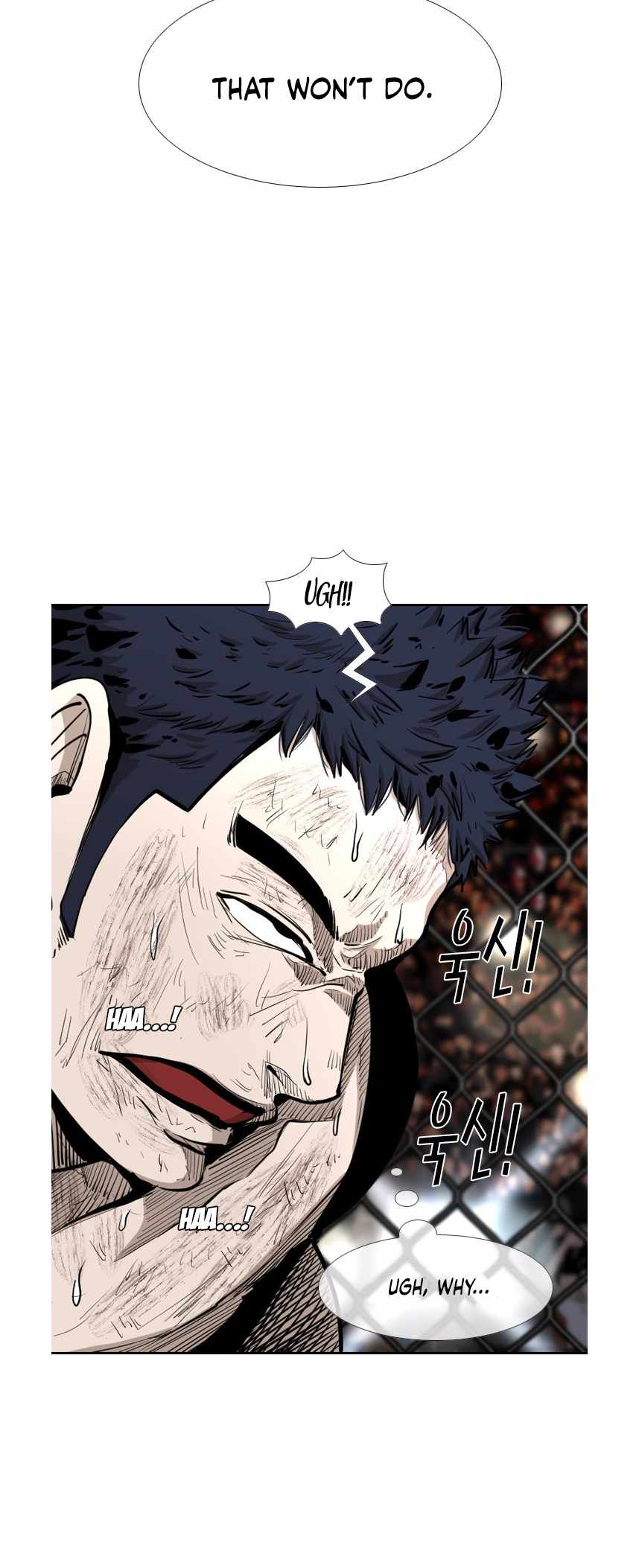 Read Shark Manga Online